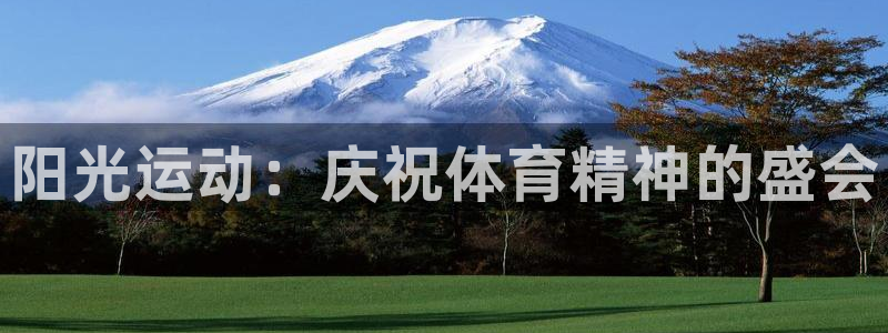 vsport体育官方正版app娱乐网站:阳光运动:庆祝体育精