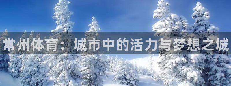 vsport体育官网下载招商电话是多少号码:常州体育:城市中