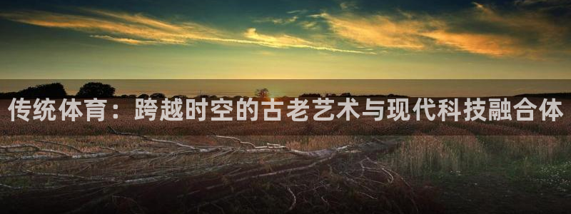 vsport体育官网下载平台:传统体育:跨越时空的古老艺术与