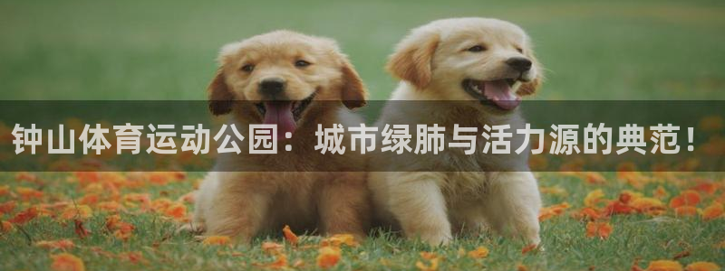 vsport体育官方正版app集团E.ON:钟山体育运动公园